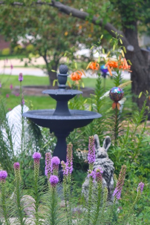  Garden Detail by Dedicated Design &#38; Renovation rdcd